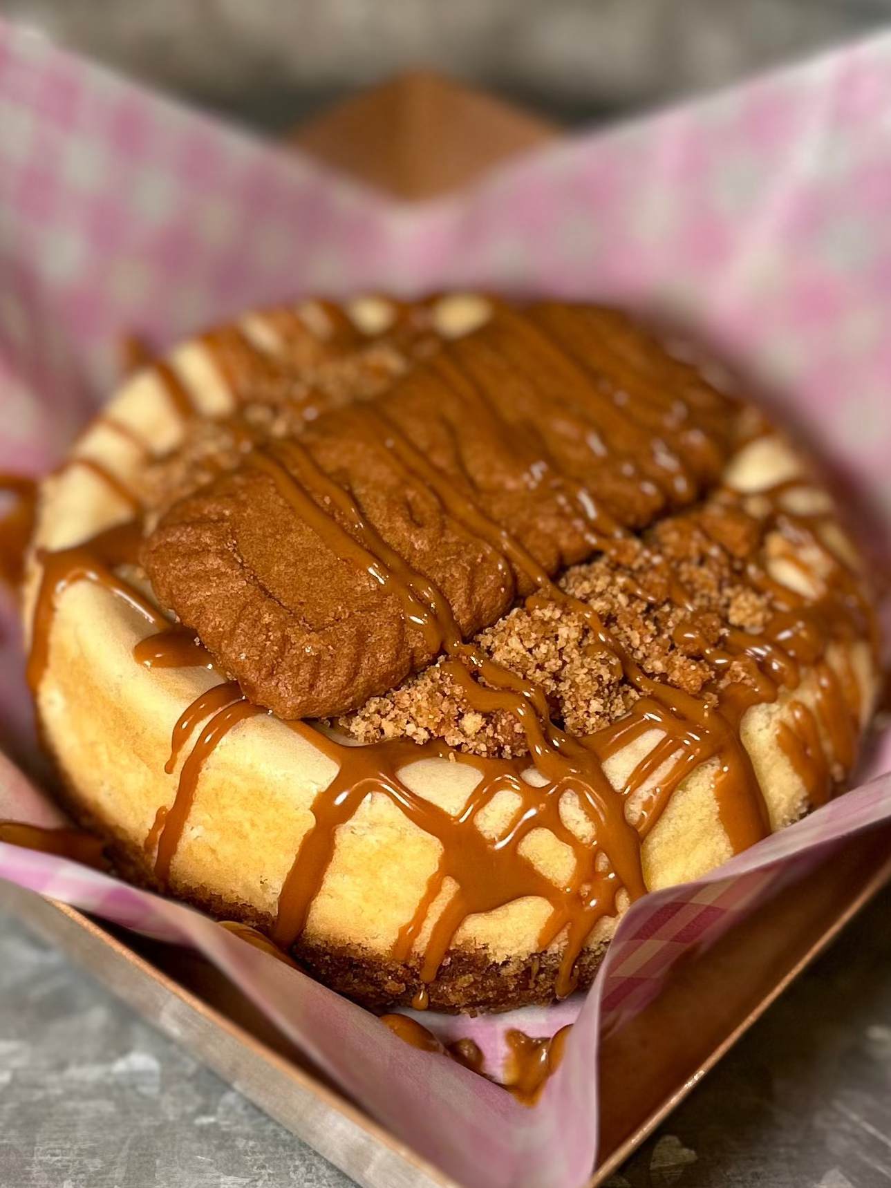 Mini Biscoff Bliss Cheesecake