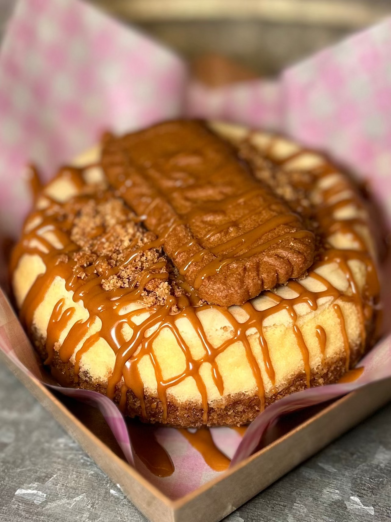 Mini Biscoff Bliss Cheesecake